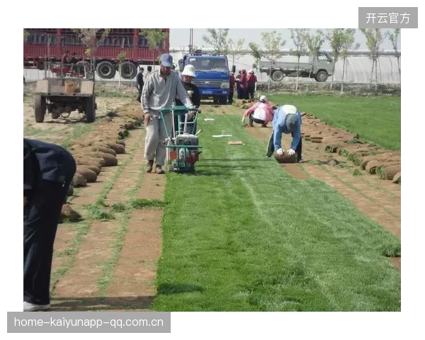 球场农业草皮技术推广：降低维护成本，提升性能